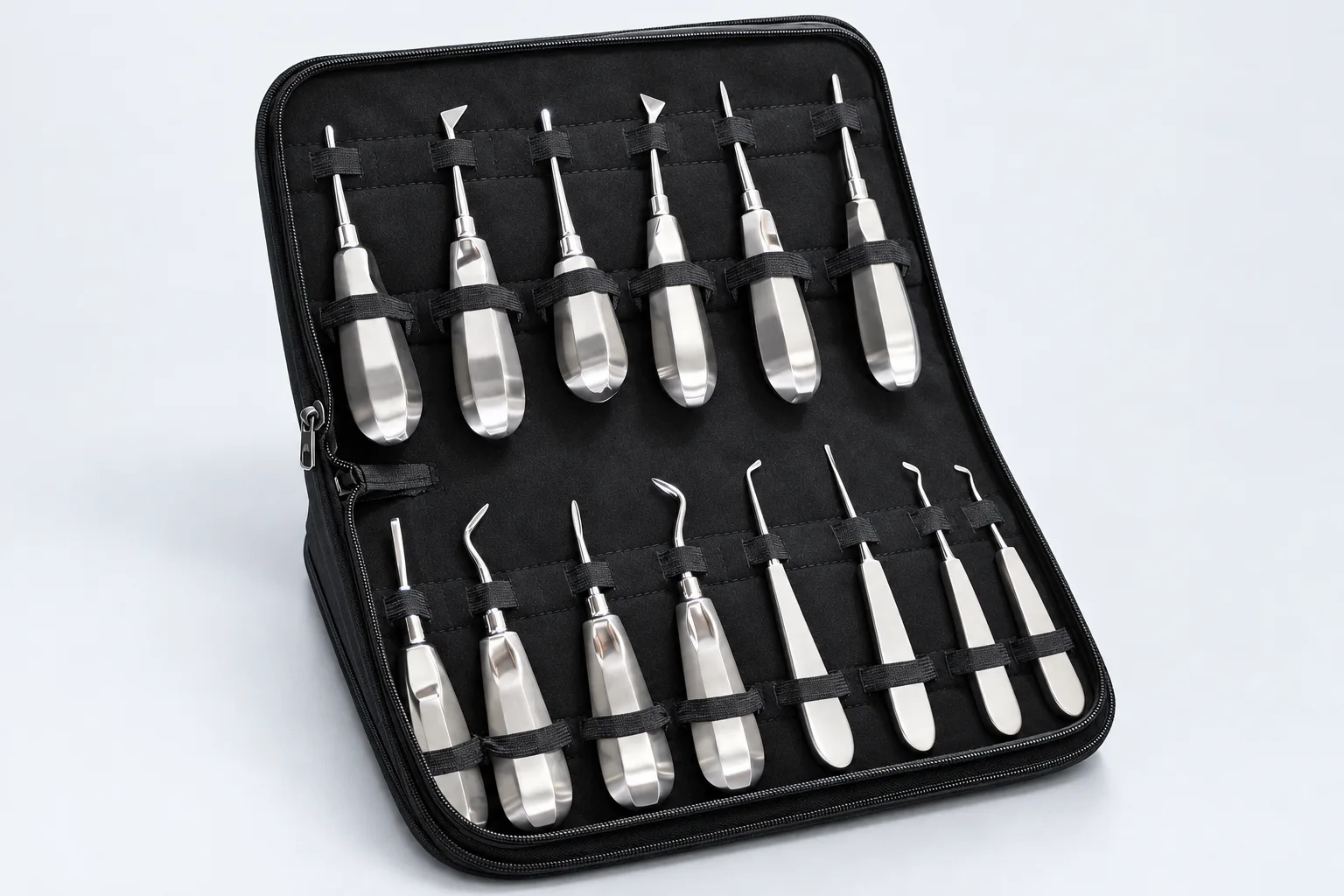 Vetrospect dental elevator set held in its black zip case